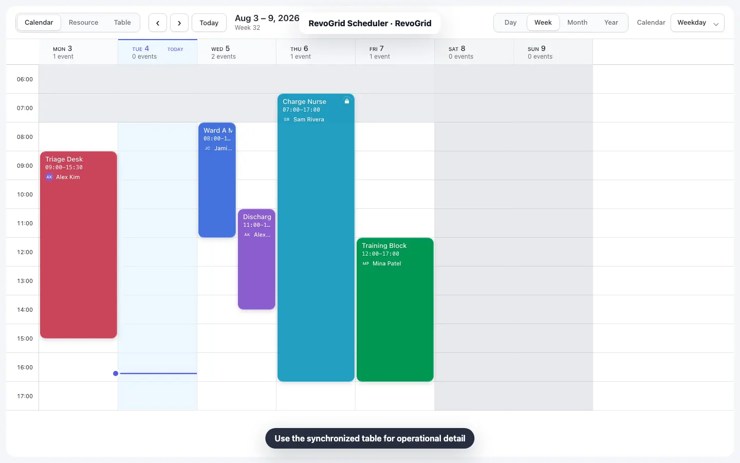 RevoGrid Scheduler workflow 3