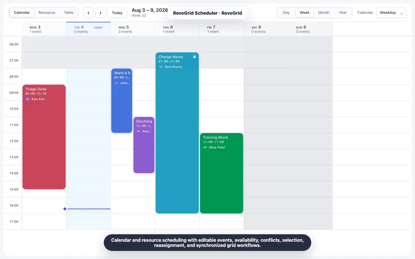 RevoGrid Scheduler workflow 1