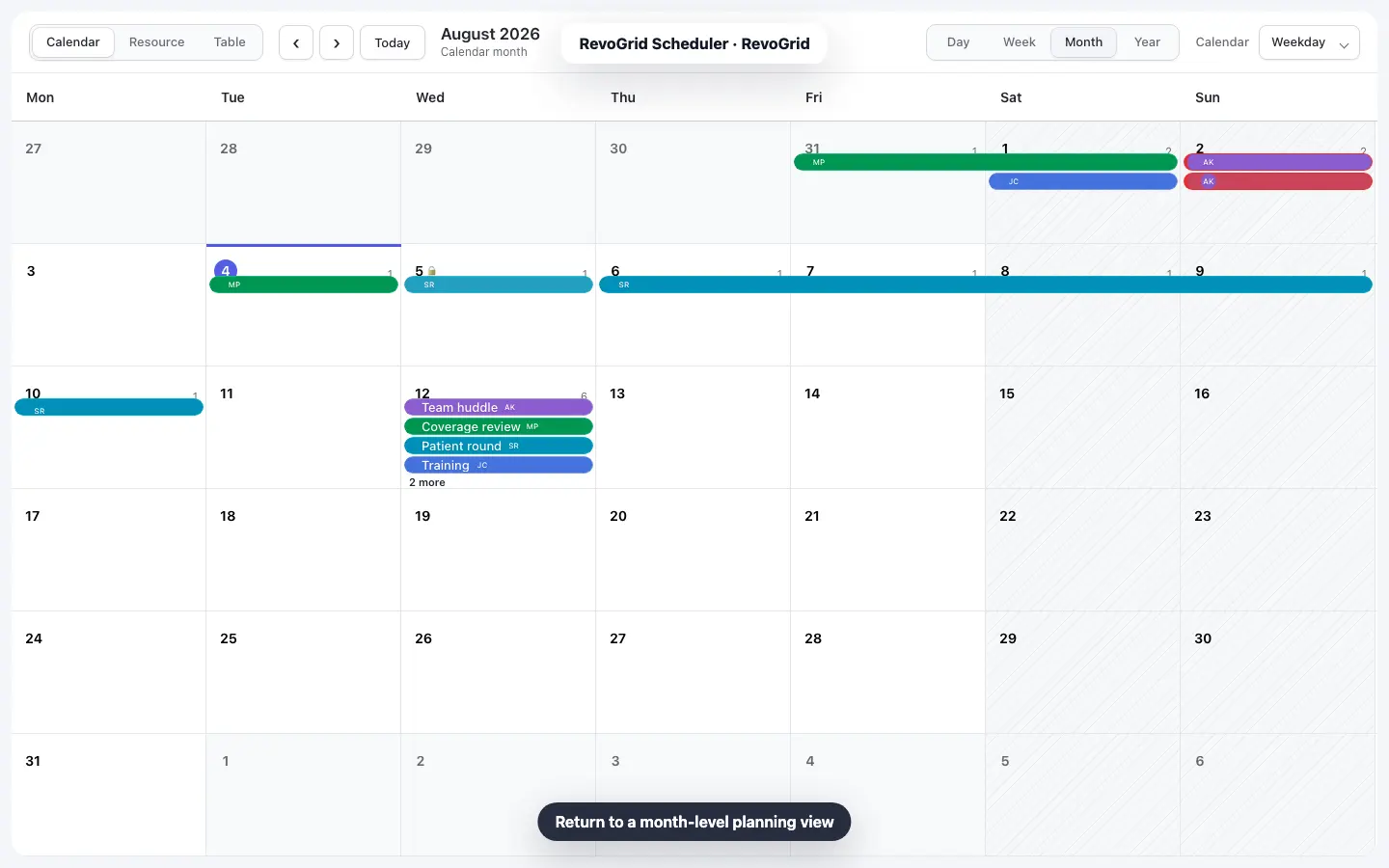 RevoGrid Scheduler workflow 4